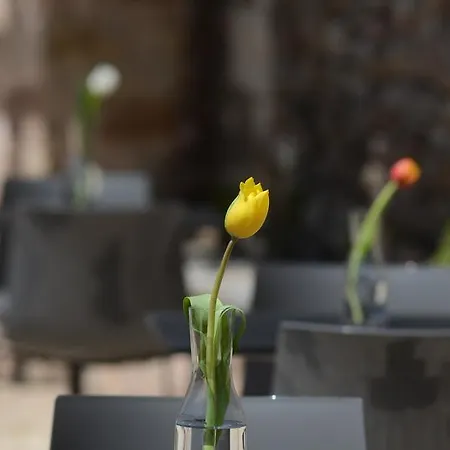 Hotel Archontiko Anyfanti Zátouna