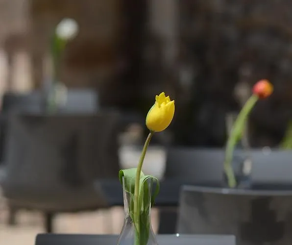 호텔 Archontiko Anyfanti Zátouna